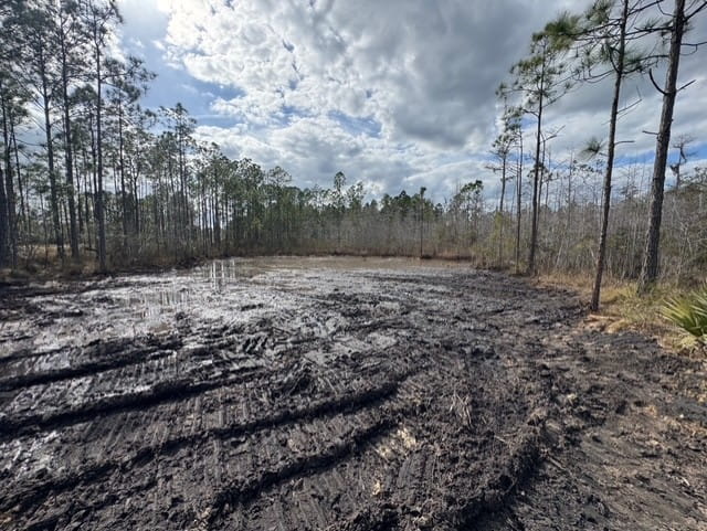 Prescribed Fire Management