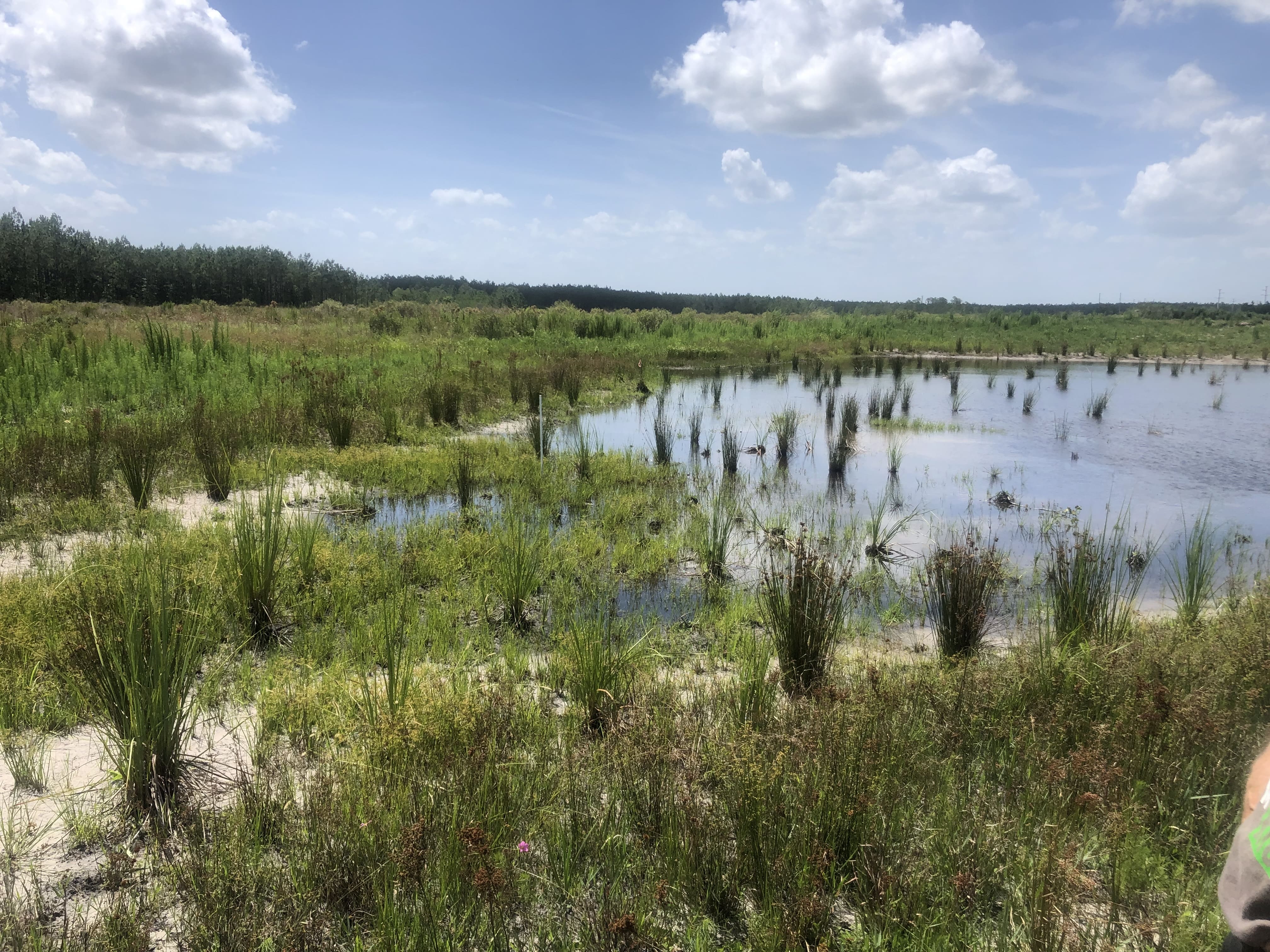 Prescribed Fire Management