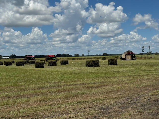 Gold Coast Land Management