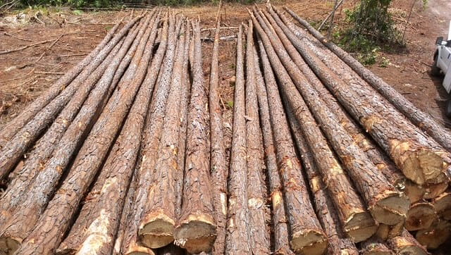 Agricultural Classification Greenbelt Services