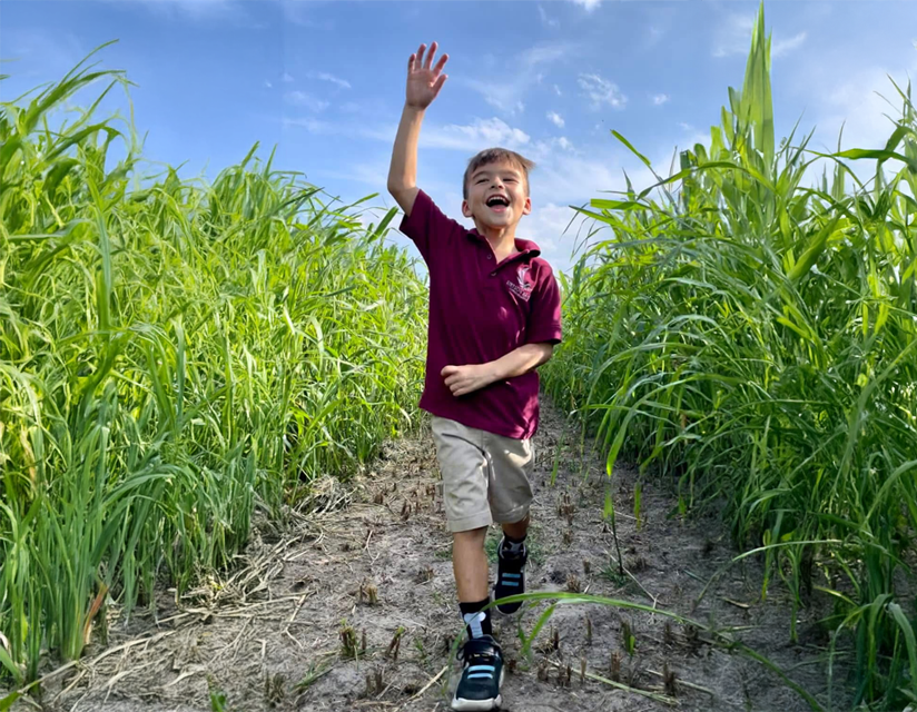 Agricultural Classification Greenbelt Services