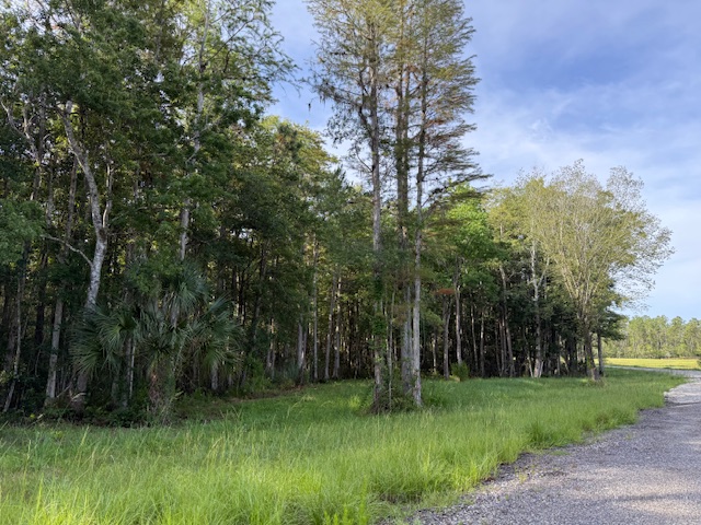 Gold Coast Land Management